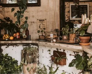 Läs mer om artikeln Crasemper Auctor Neque Witaetempus