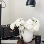 Egestas Diam Onarcu Cursus Euismod