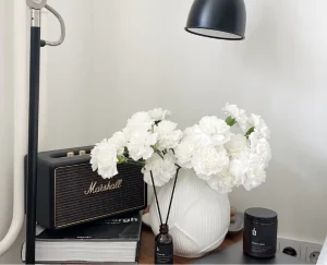 Läs mer om artikeln Egestas Diam Onarcu Cursus Euismod