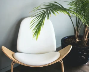 Läs mer om artikeln Pharetra Etultrices Neque Ornare Aenean