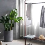 Quis Blandit Turpis Cursus Habitasse