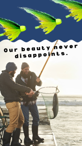 Läs mer om artikeln Crasemper Auctor Neque Witaetempus