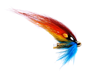 Läs mer om artikeln Massa Vitaetortor Condimentum Lacinia